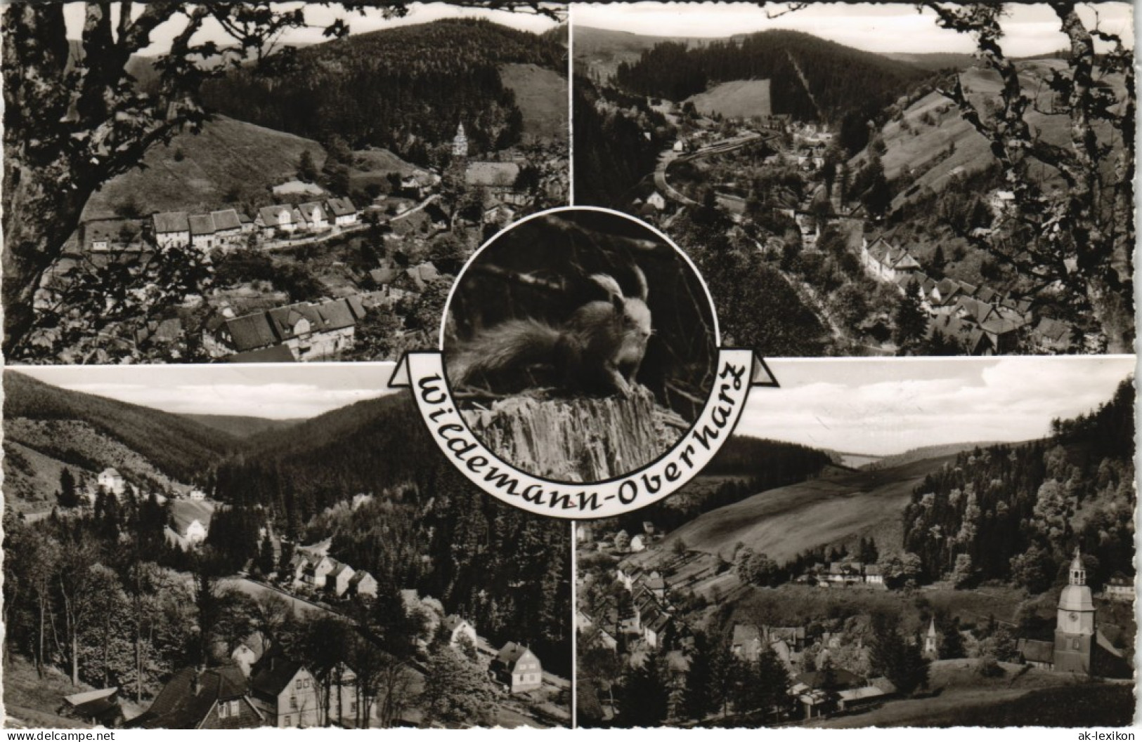 Ansichtskarte Wildemann (Innerstetal) Mehrbild-AK Mit Panorama-Ansichten 1960 - Wildemann