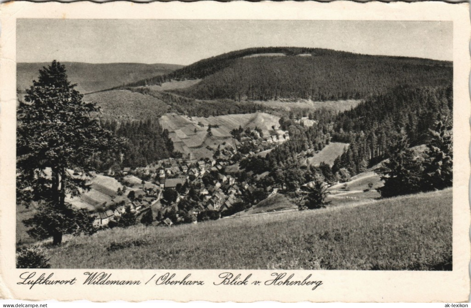 Wildemann (Innerstetal) Panorama-Ansicht Blick V. Hohenberg 1955 - Wildemann