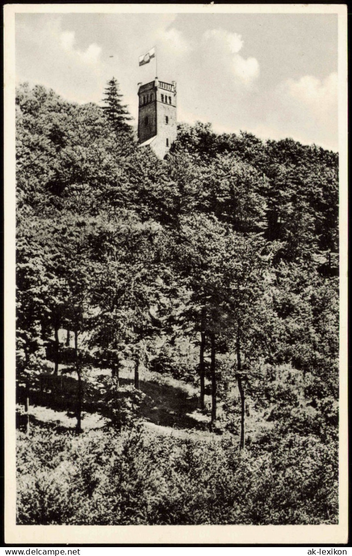 Rinteln Umlandansicht; Klippenturm A.d. Kamm Des Wesergebirges 1950 - Rinteln