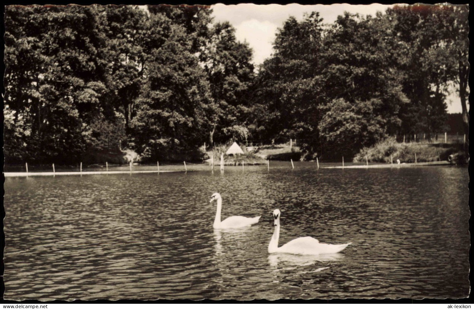 Ansichtskarte Bad Dürrheim Partie Am Salinensee 1960 - Bad Duerrheim