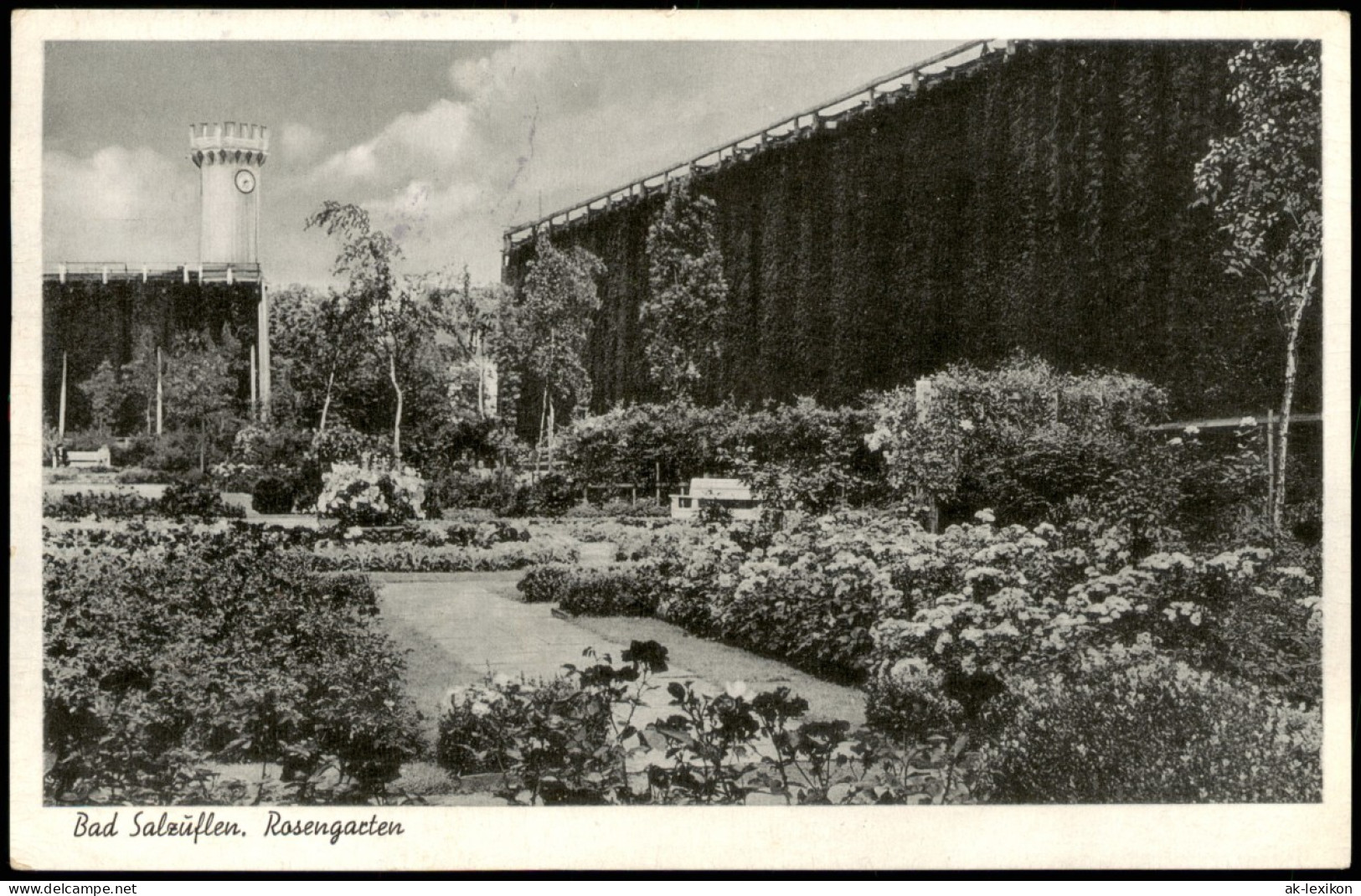 Ansichtskarte Bad Salzuflen Partie Im Rosengarten, Park-Anlagen 1955 - Bad Salzuflen