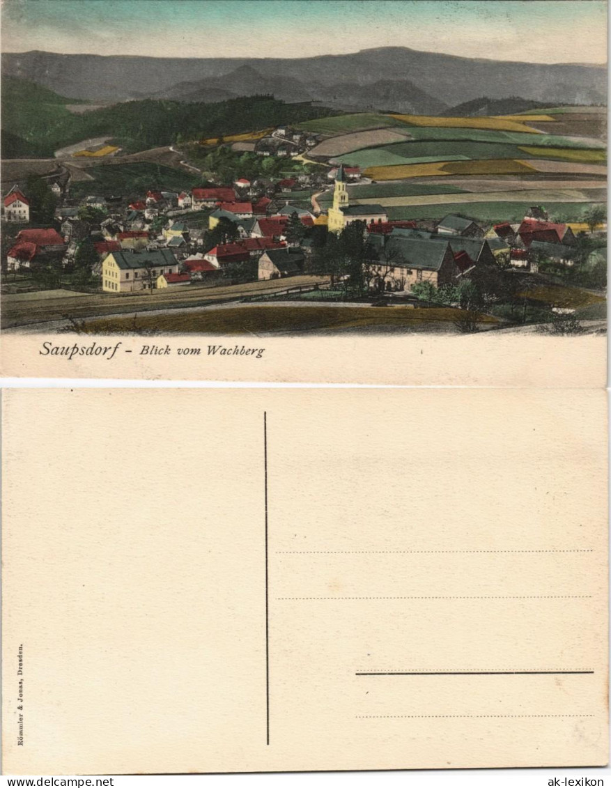 Ansichtskarte Saupsdorf-Sebnitz Blick Vom Wachberg Panorama-Ansicht 1910 - Kirnitzschtal