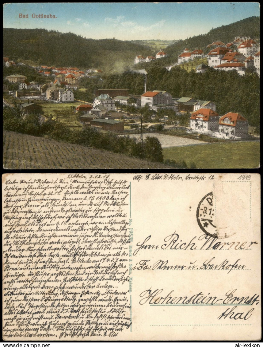 Bad Gottleuba-Berggießhübel Panorama Mit Fabrik 1919 - Bad Gottleuba-Berggiesshuebel