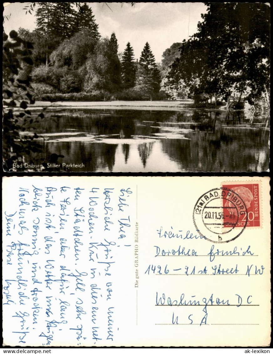 Ansichtskarte Bad Driburg Stiller Parkteich 1956 - Bad Driburg