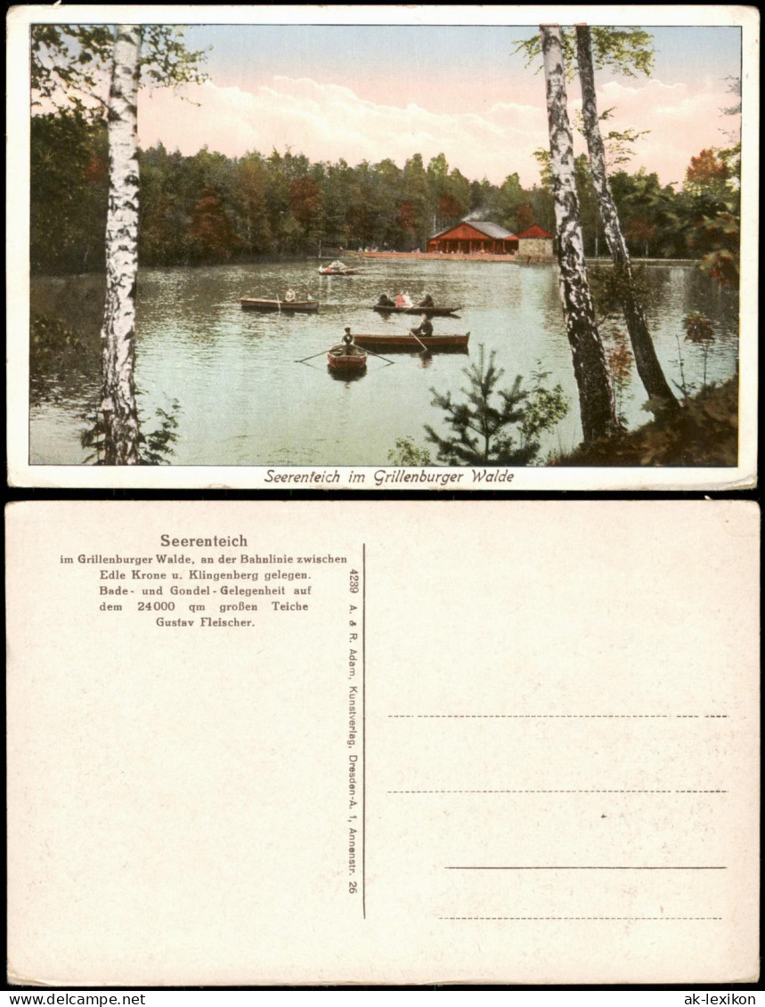 Ansichtskarte Dorfhain-Tharandt Seerenteichbaude, Ruderboote 1928 - Tharandt