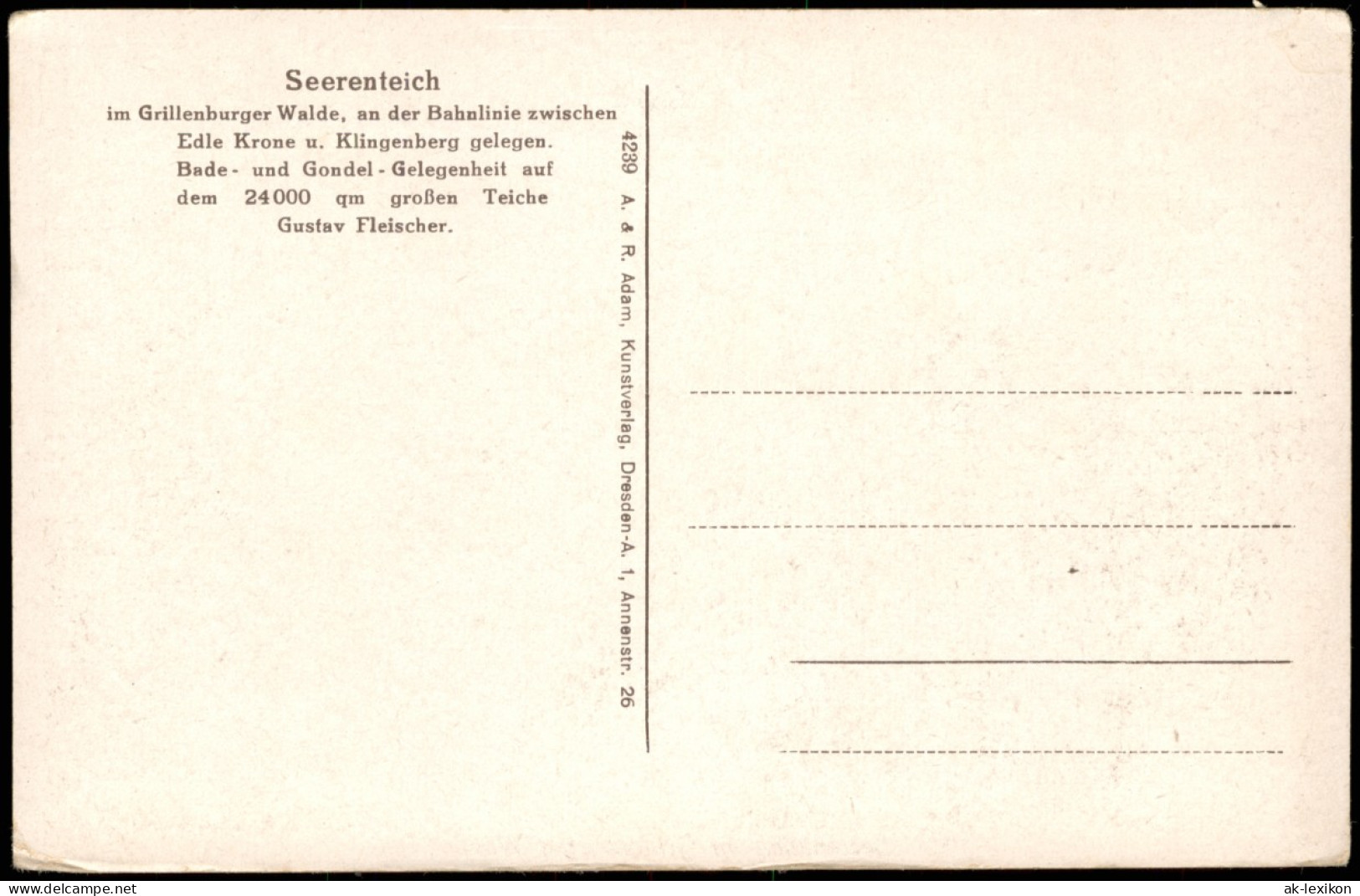 Ansichtskarte Dorfhain-Tharandt Seerenteichbaude, Ruderboote 1928 - Tharandt