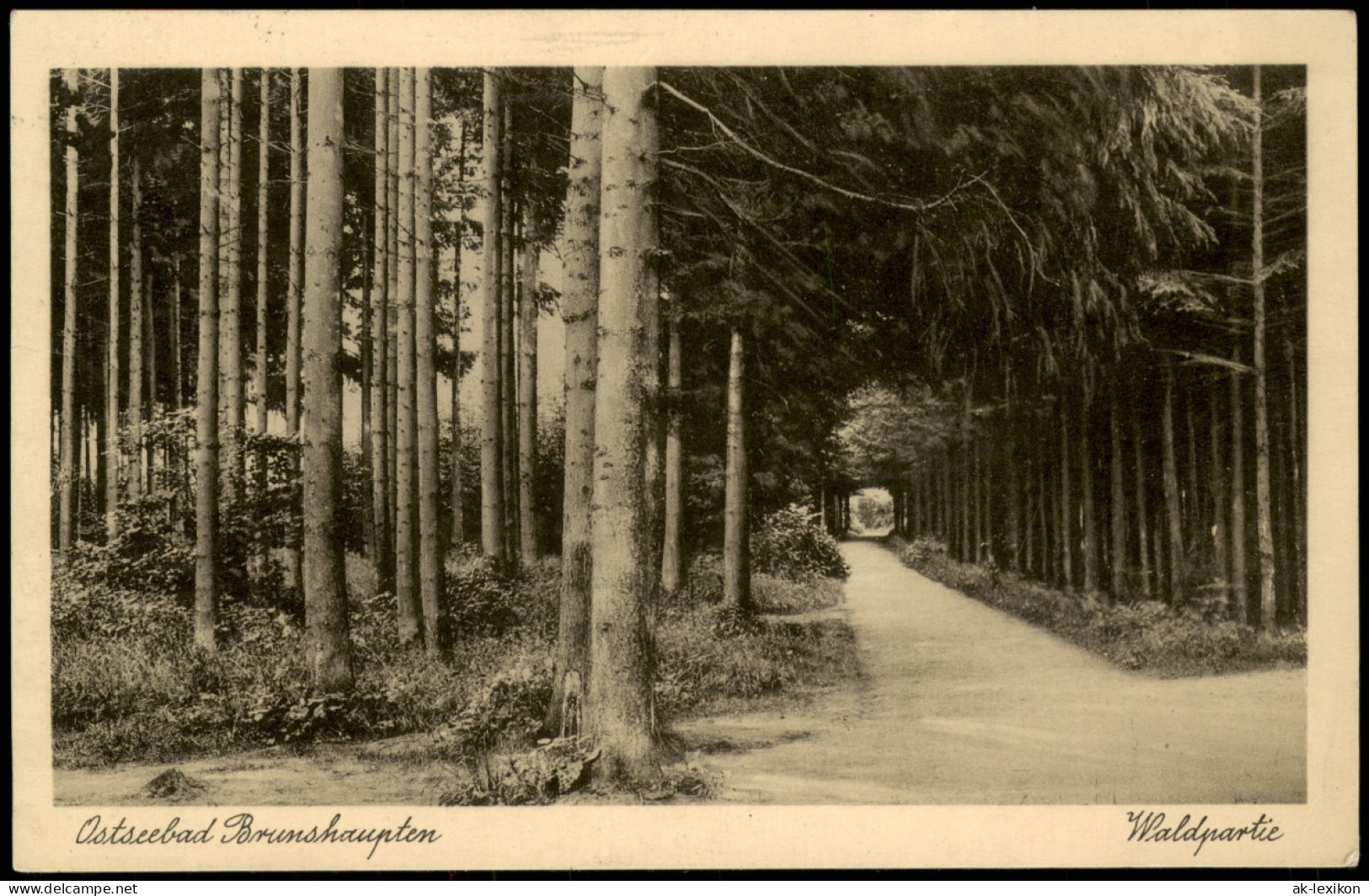 Ansichtskarte Brunshaupten-Kühlungsborn Waldpartie 1934 - Kuehlungsborn
