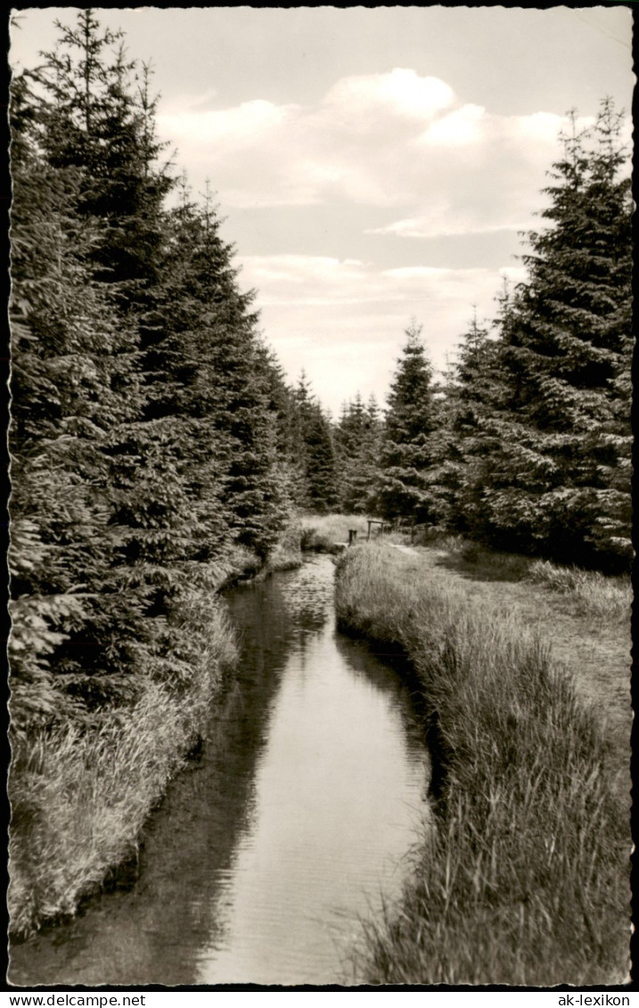 Clausthal-Zellerfeld Umland-Ansicht Partie Oberer Grabenweg 1966 - Clausthal-Zellerfeld