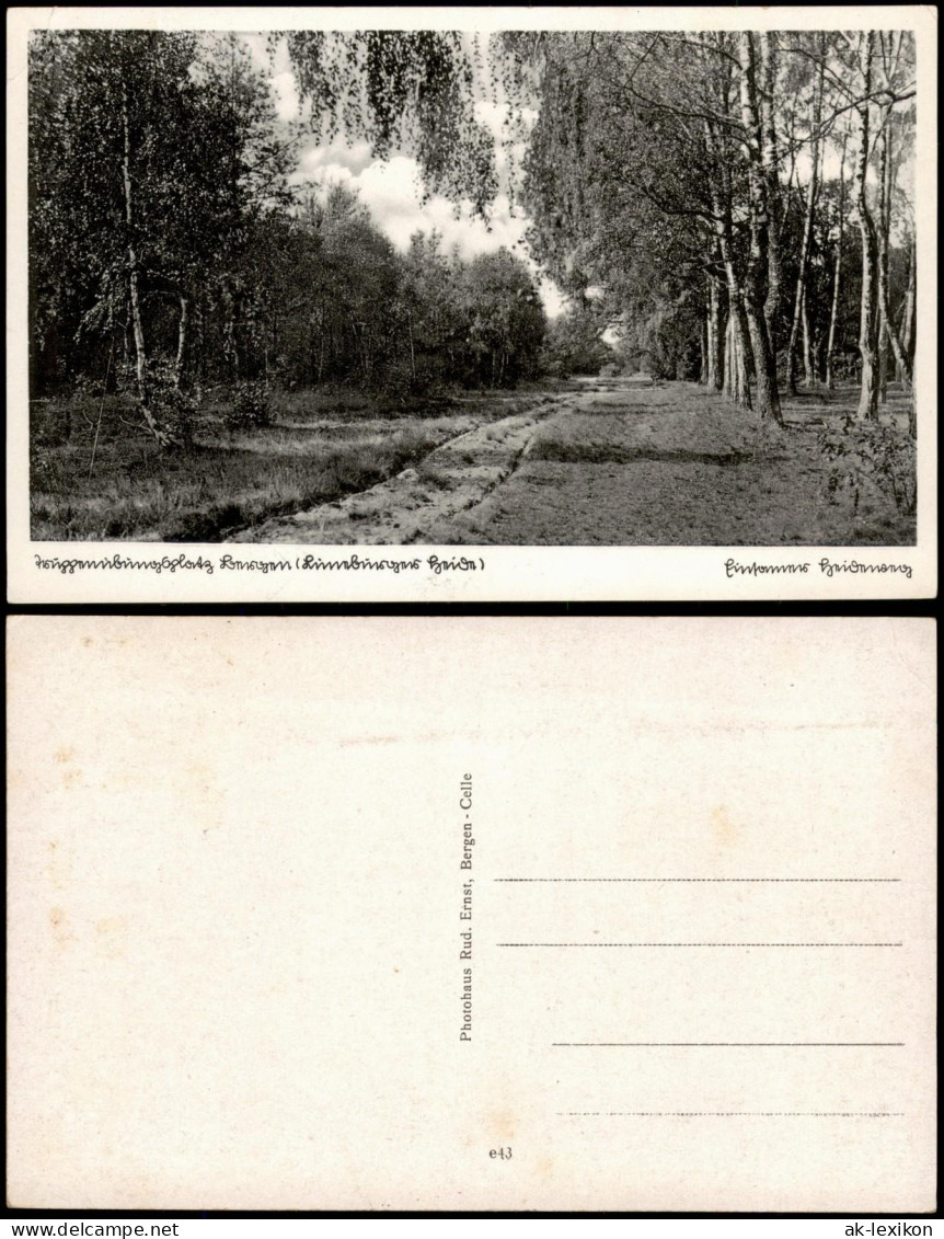 Ansichtskarte .Niedersachsen Lüneburger Heide Wald Partie 1940 - Lüneburger Heide
