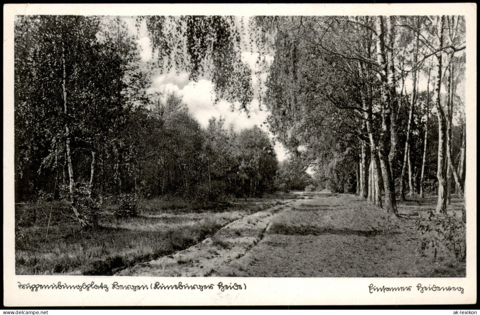 Ansichtskarte .Niedersachsen Lüneburger Heide Wald Partie 1940 - Lüneburger Heide