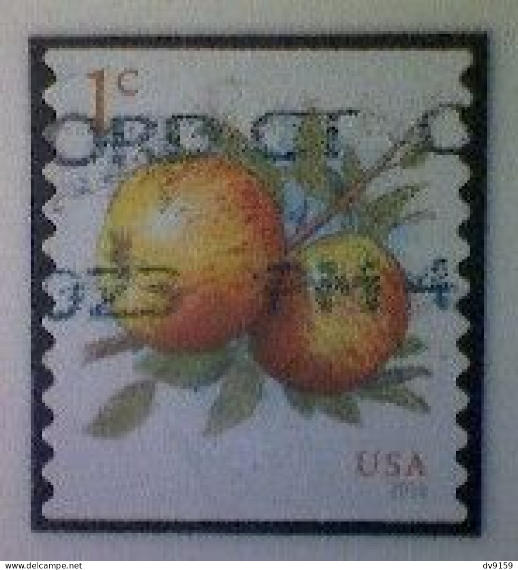 United States, Scott #5037, Used(o), 2016 Definitive, Albemarle Pippin Apple, 1¢, Multicolored - Usati