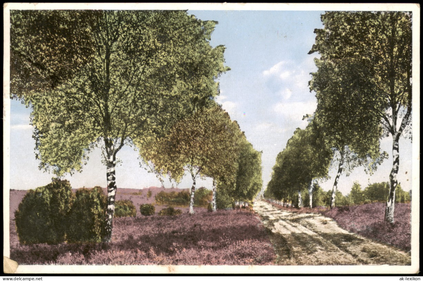 Ansichtskarte .Niedersachsen Lüneburger Heide, Waldweg - Birken 1936 - Lüneburger Heide