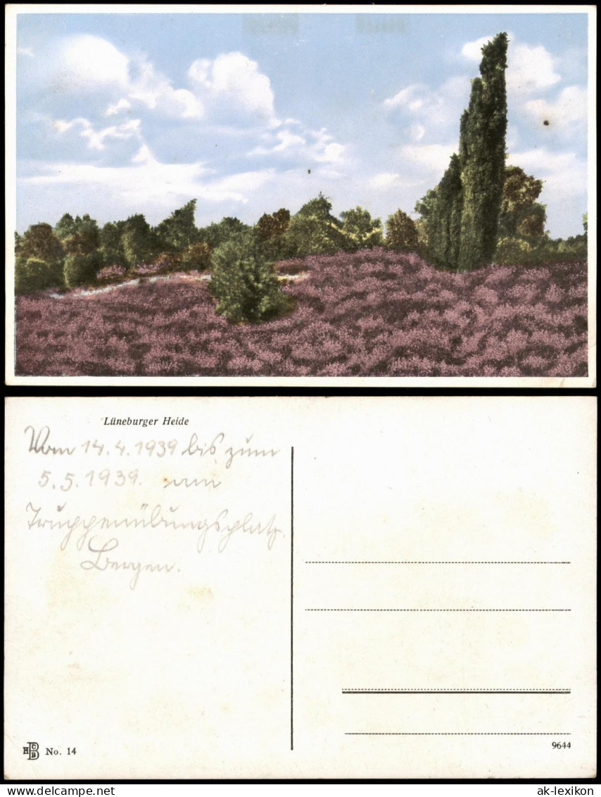 Ansichtskarte .Niedersachsen Lüneburger Heide, Blüte 1928 - Lüneburger Heide