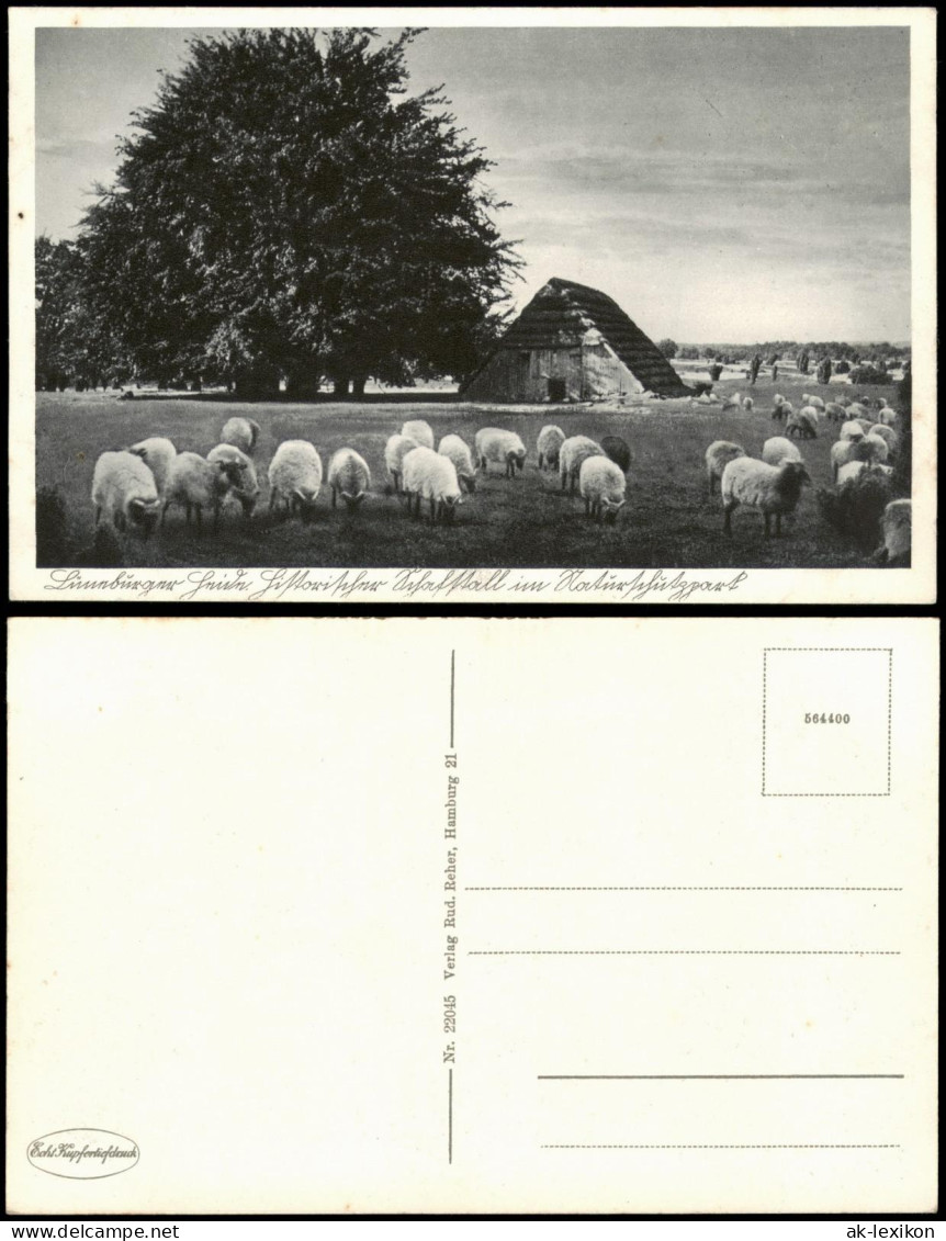 Ansichtskarte .Niedersachsen Lüneburger Heide, Schafe Und Hütte 1928 - Lüneburger Heide