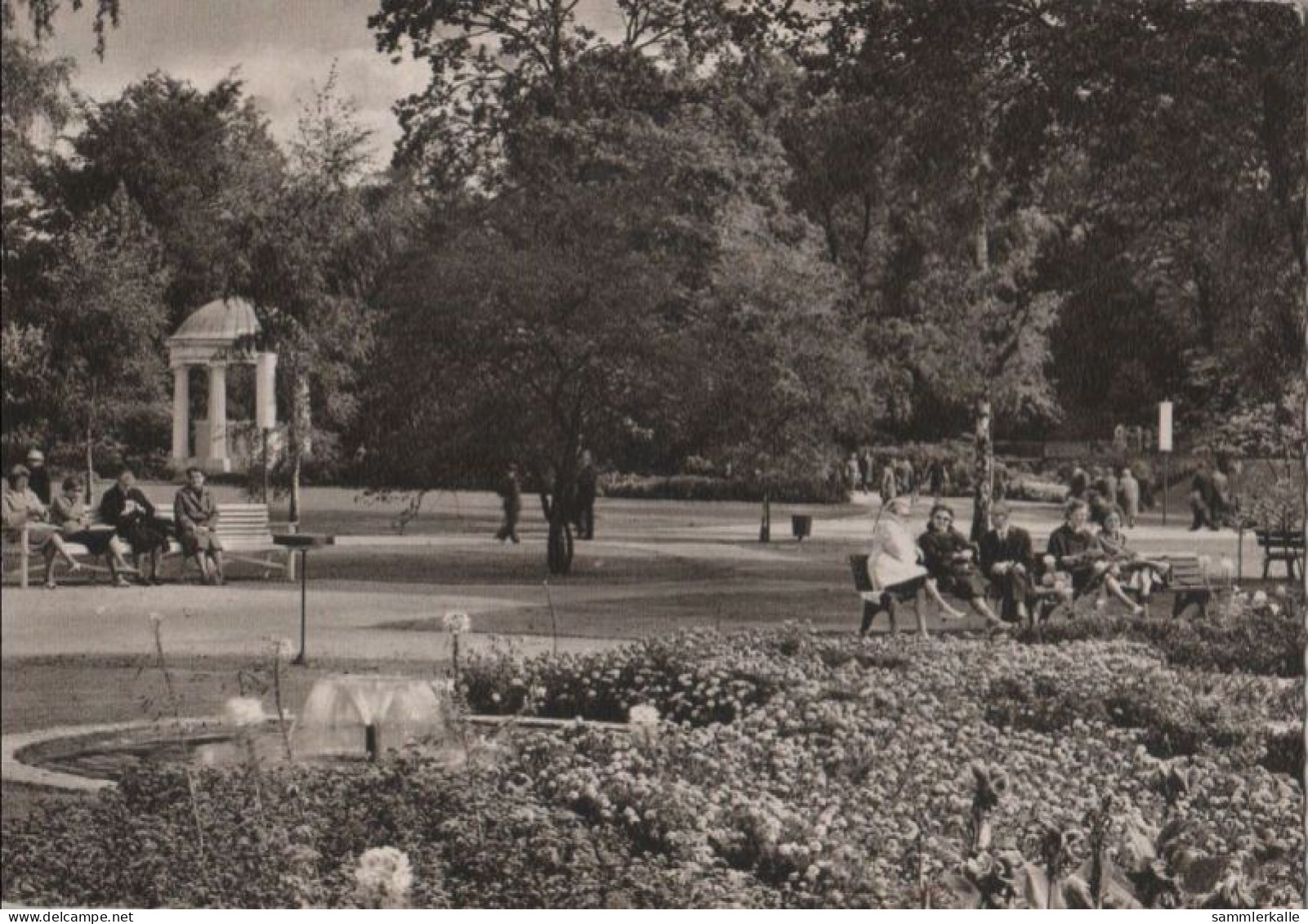 51175 - Bad Salzuflen - Im Kurpark - Leopoldsprudel - 1964 - Bad Salzuflen