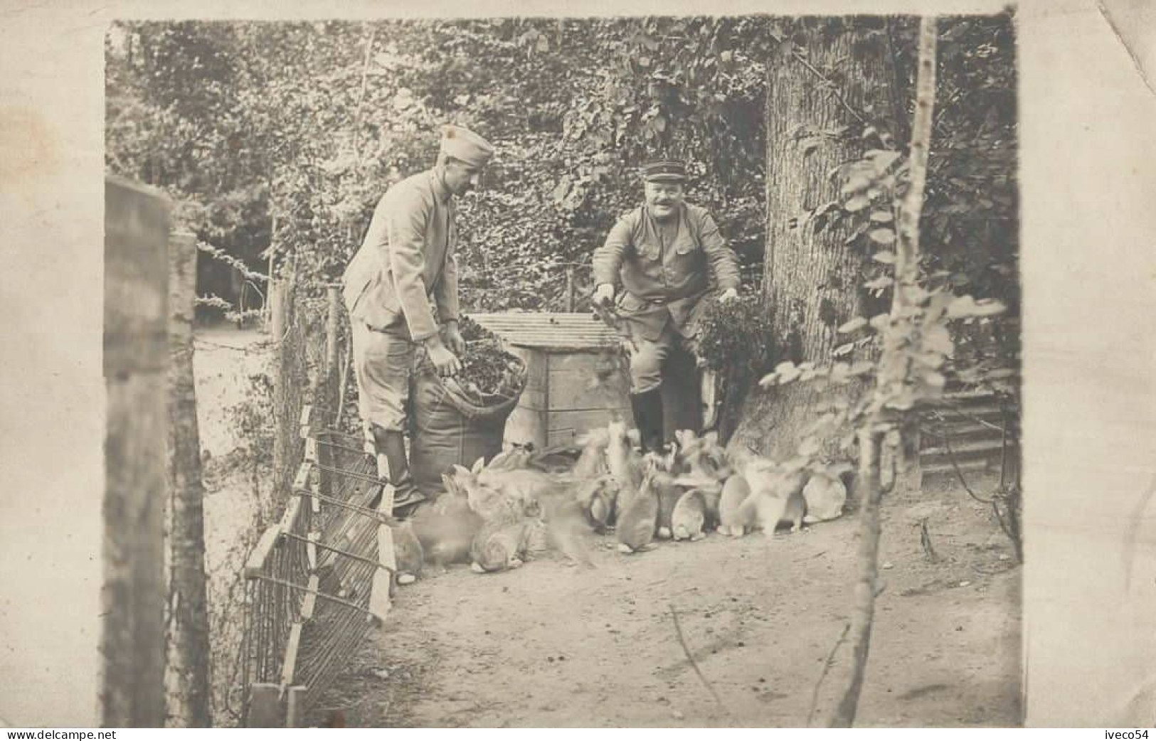 1918   Soldats Français  Au Repos   " S'occupant Des Lapins ! " - 1914-18