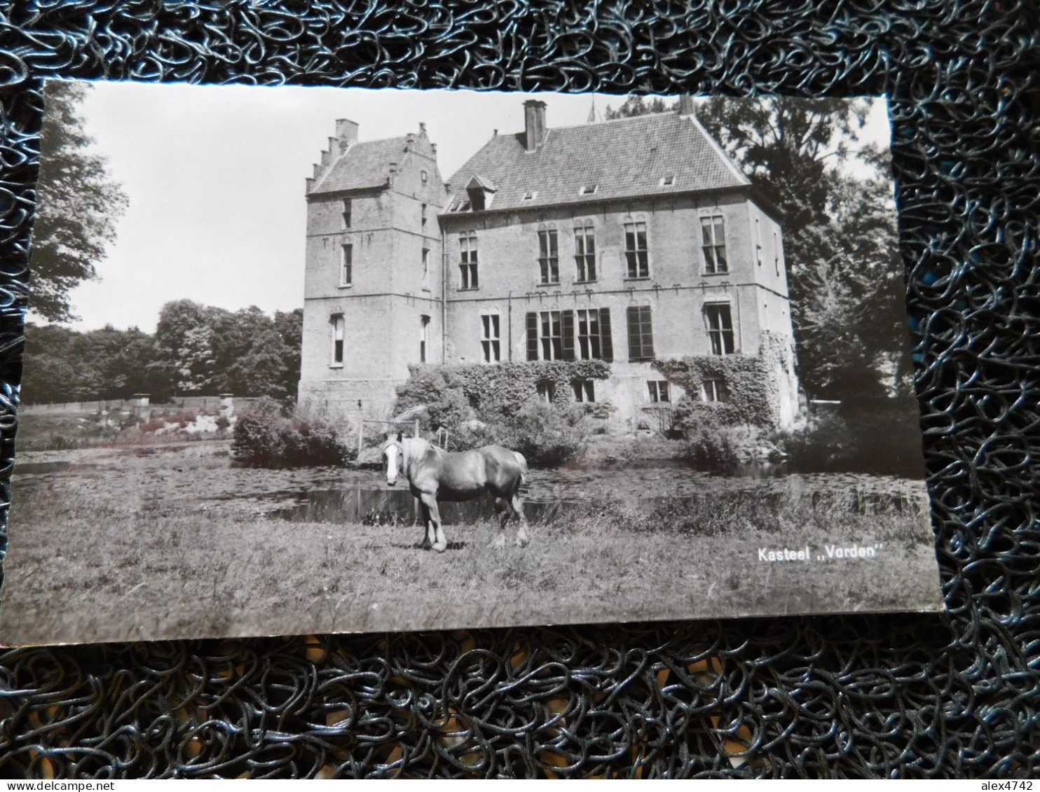 Kasteel "Vorden" Cheval En Prairie  (A16-6) - Pferde