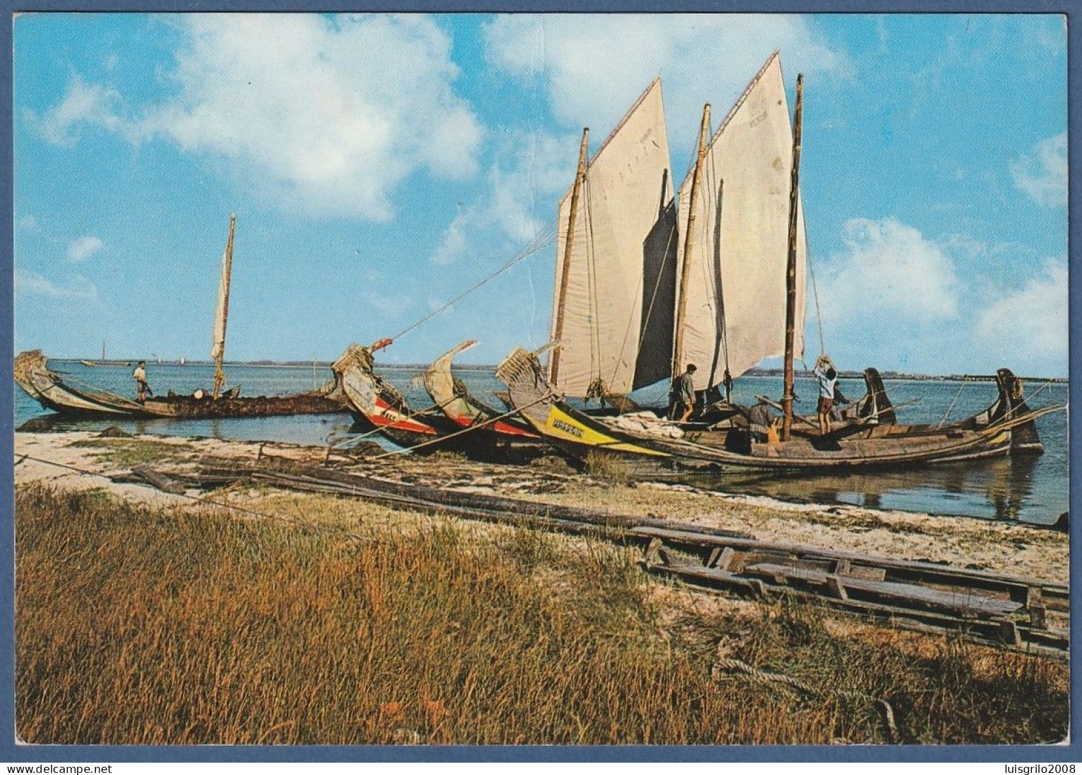 Aveiro - Barcos Moliceiros Na Murtosa - Aveiro