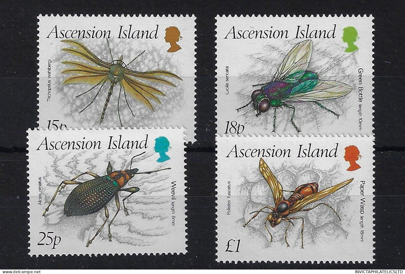 ASCENSION SG483/6, 1989 INSECTS (3RD) MNH - Ascensión