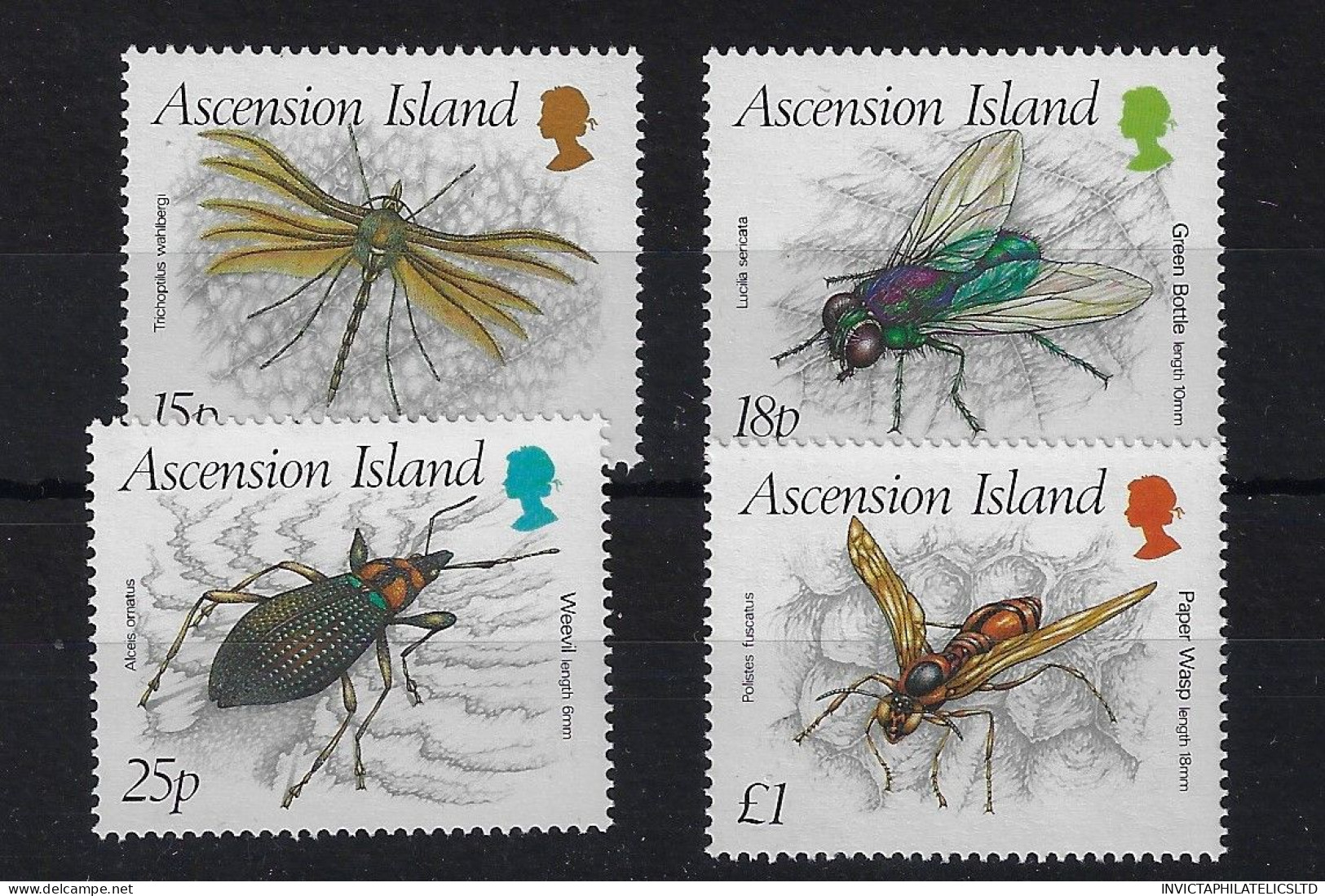 ASCENSION SG483/6, 1989 INSECTS (3RD) MNH - Ascension (Ile De L')