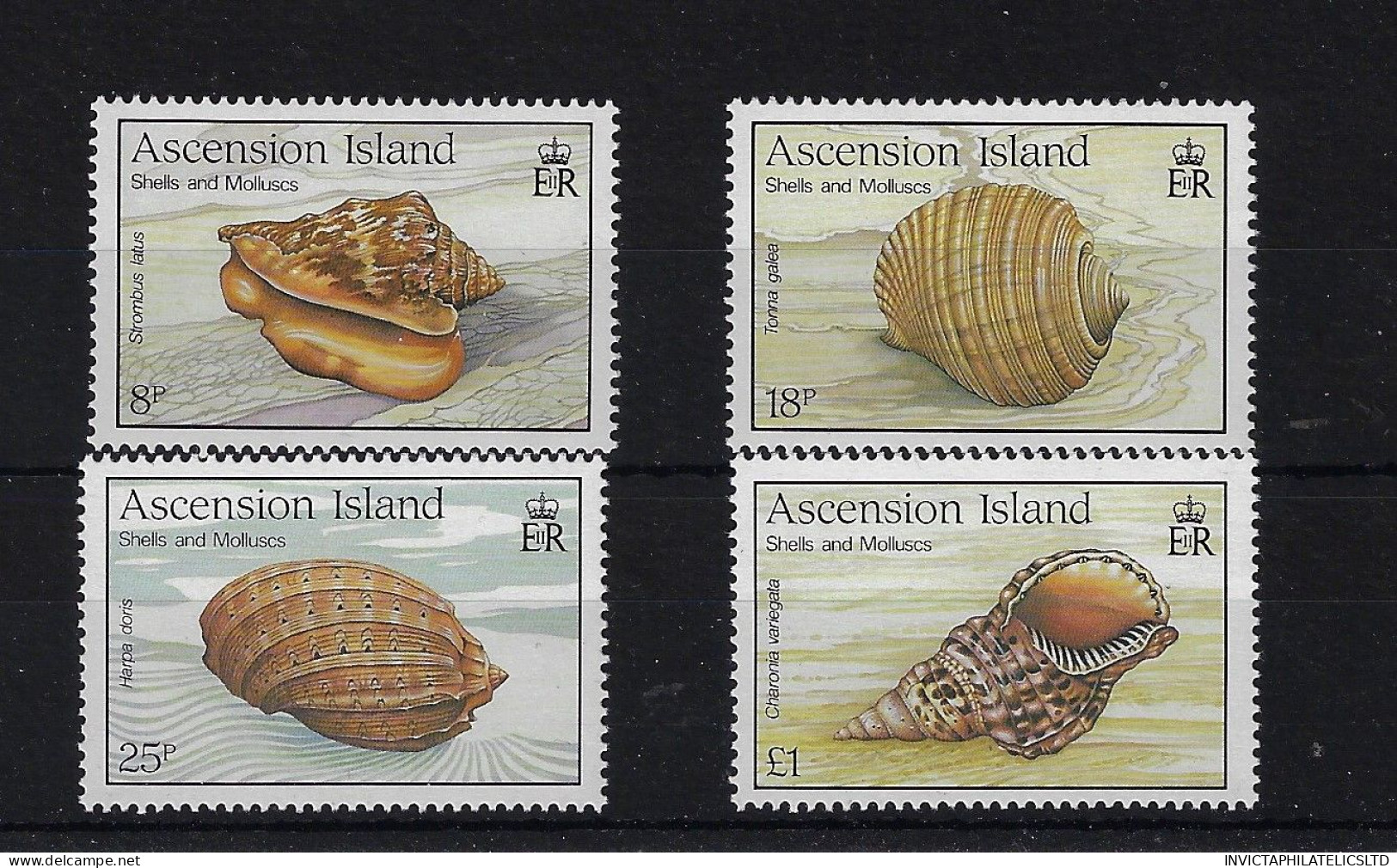 ASCENSION SG506/9, 1989 SHELLS MNH - Ascension