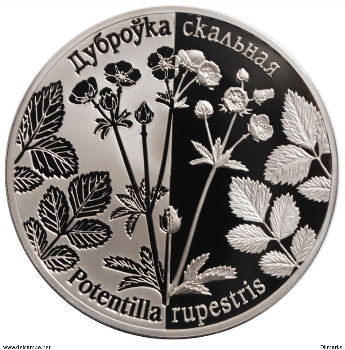 Belarus 1 Ruble 2017, PROOF, &quot;Regenerated Plants - Potentilla Rupestris&quot; - Belarús