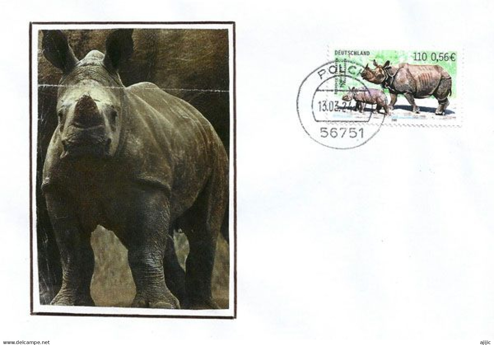 Espèces Menacées – WWF. Le Rhinocéros Indien, Lettre D'Allemagne (Rhénanie-Palatinat) - Rhinoceros