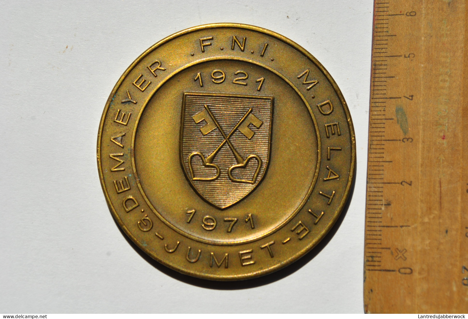 Médaille En Bronze F.N.I. 1921 1971 JUMET 1914 1918 1940 1945 G DEMAEYER M. DELATTE FNI - Autres & Non Classés