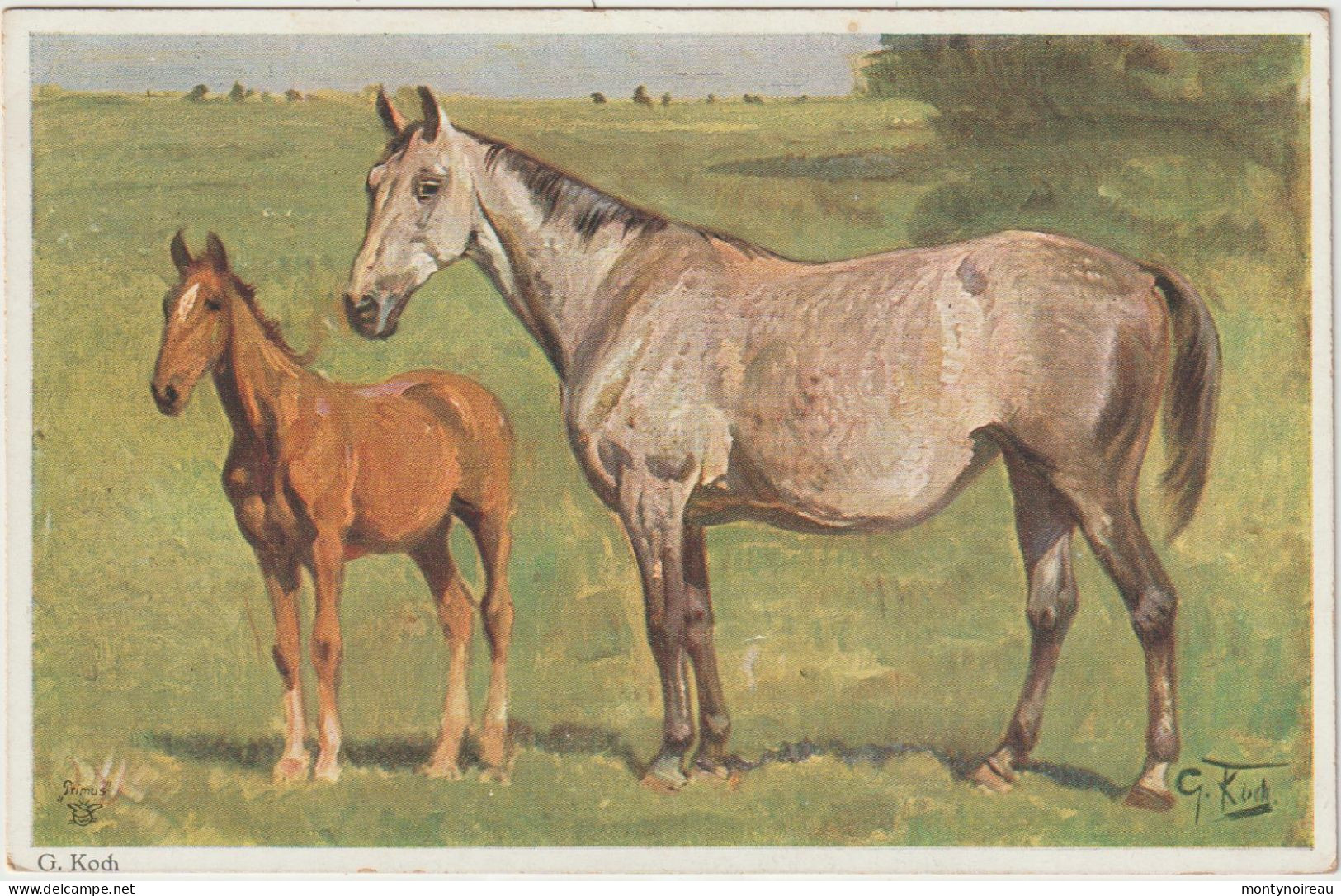 DAV : Animaux :  Le  Cheval, G Kod , Koch - Horses