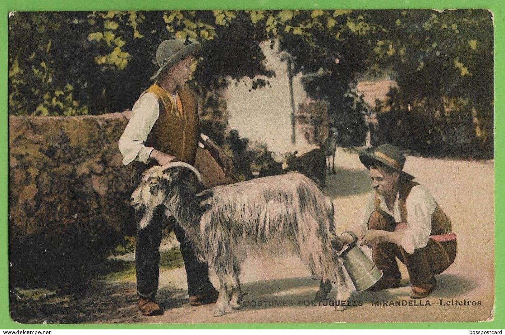 Mirandela - Leiteiros - Costumes Portugueses - Cabra - Goat. Bragança. Portugal. - Bragança