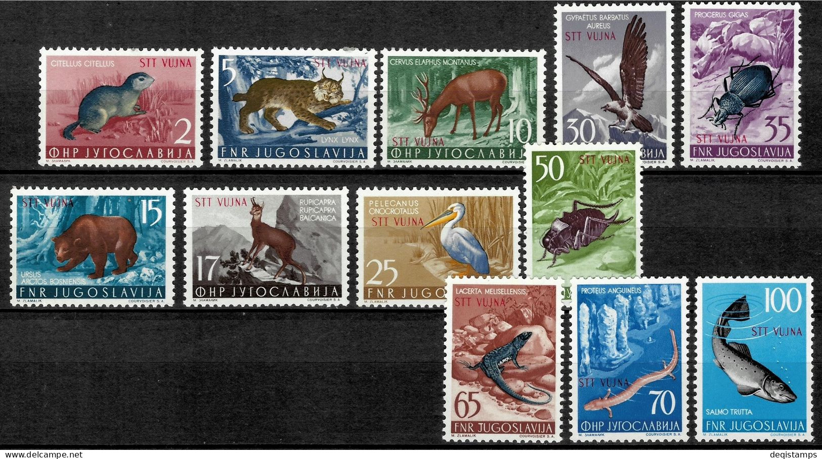 Trieste B  STT - Vujna Year 1954  Fauna Complete Set  MNH - Occup. Iugoslava: Trieste