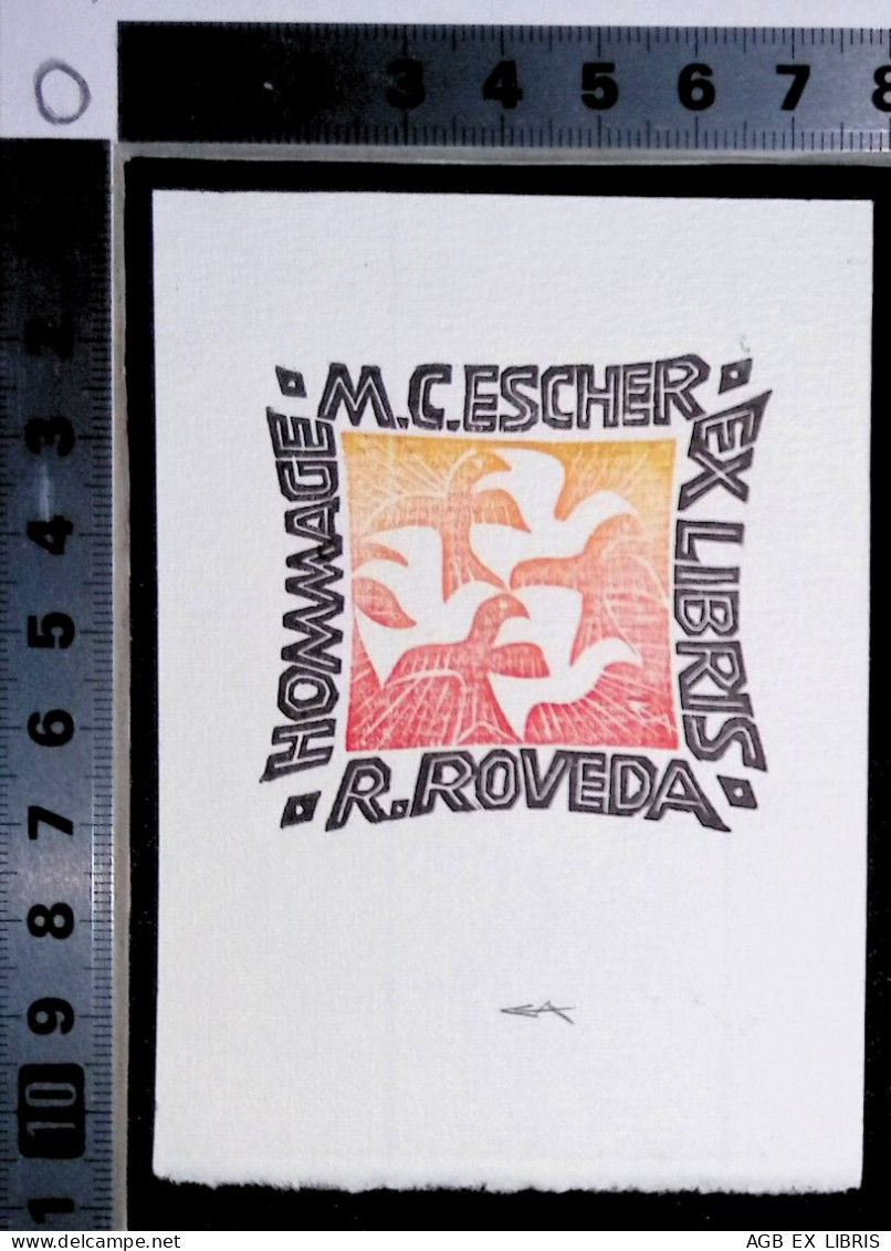 EX LIBRIS ERICH AULITZKY Per R. ROVEDA HOMMAGE M.C.E. ESCHER L27bis-F02 EXLIBRIS Opus 178 - Bookplates