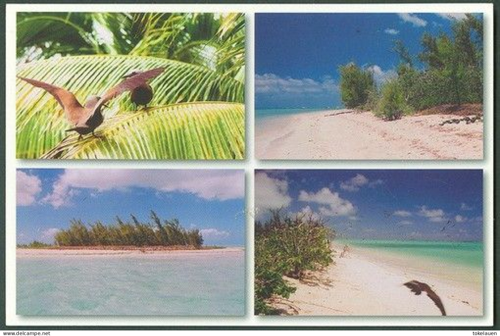 Lot Collection 13x Postcards Mauritius Island Rodrigues Íle Indian Ocean - Maurice