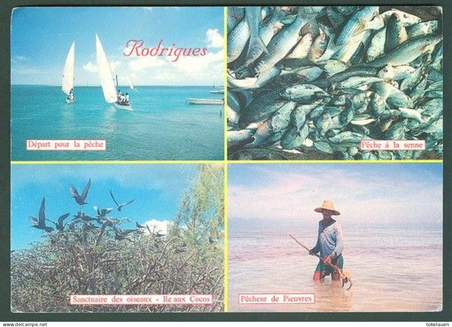 Lot Collection 13x Postcards Mauritius Island Rodrigues Íle Indian Ocean - Maurice