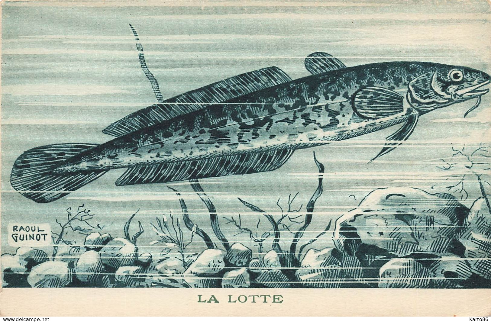 Les Poissons * Série De 9 CPA Illustrateur Raoul GUINOT * Tanche Carpe Lotte Barbeau Perche Ablettegardon ... * Poisson - Pesci E Crostacei