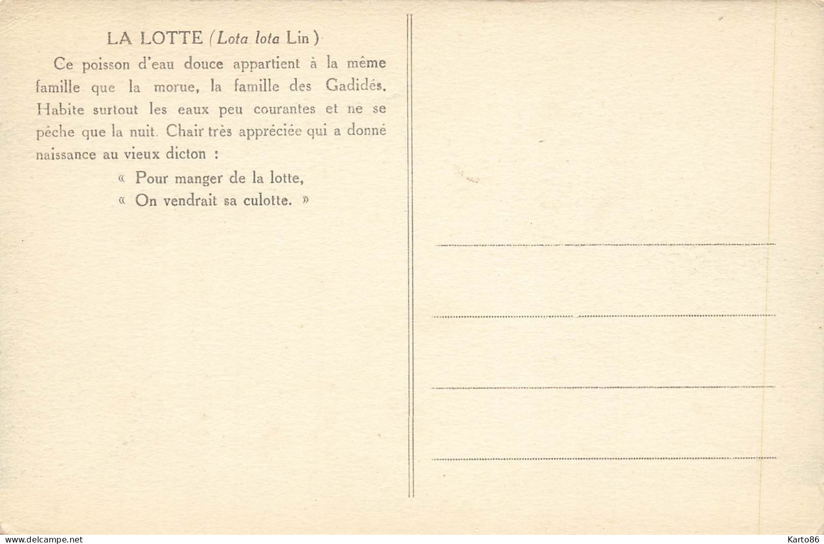 les poissons * série de 9 CPA illustrateur Raoul GUINOT * tanche carpe lotte barbeau perche ablettegardon ... * poisson