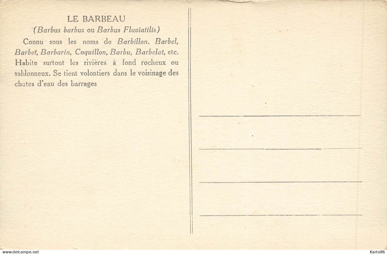 les poissons * série de 9 CPA illustrateur Raoul GUINOT * tanche carpe lotte barbeau perche ablettegardon ... * poisson