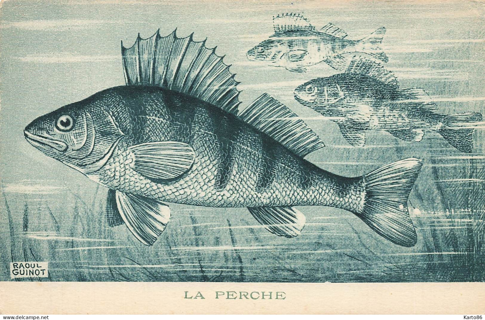 les poissons * série de 9 CPA illustrateur Raoul GUINOT * tanche carpe lotte barbeau perche ablettegardon ... * poisson