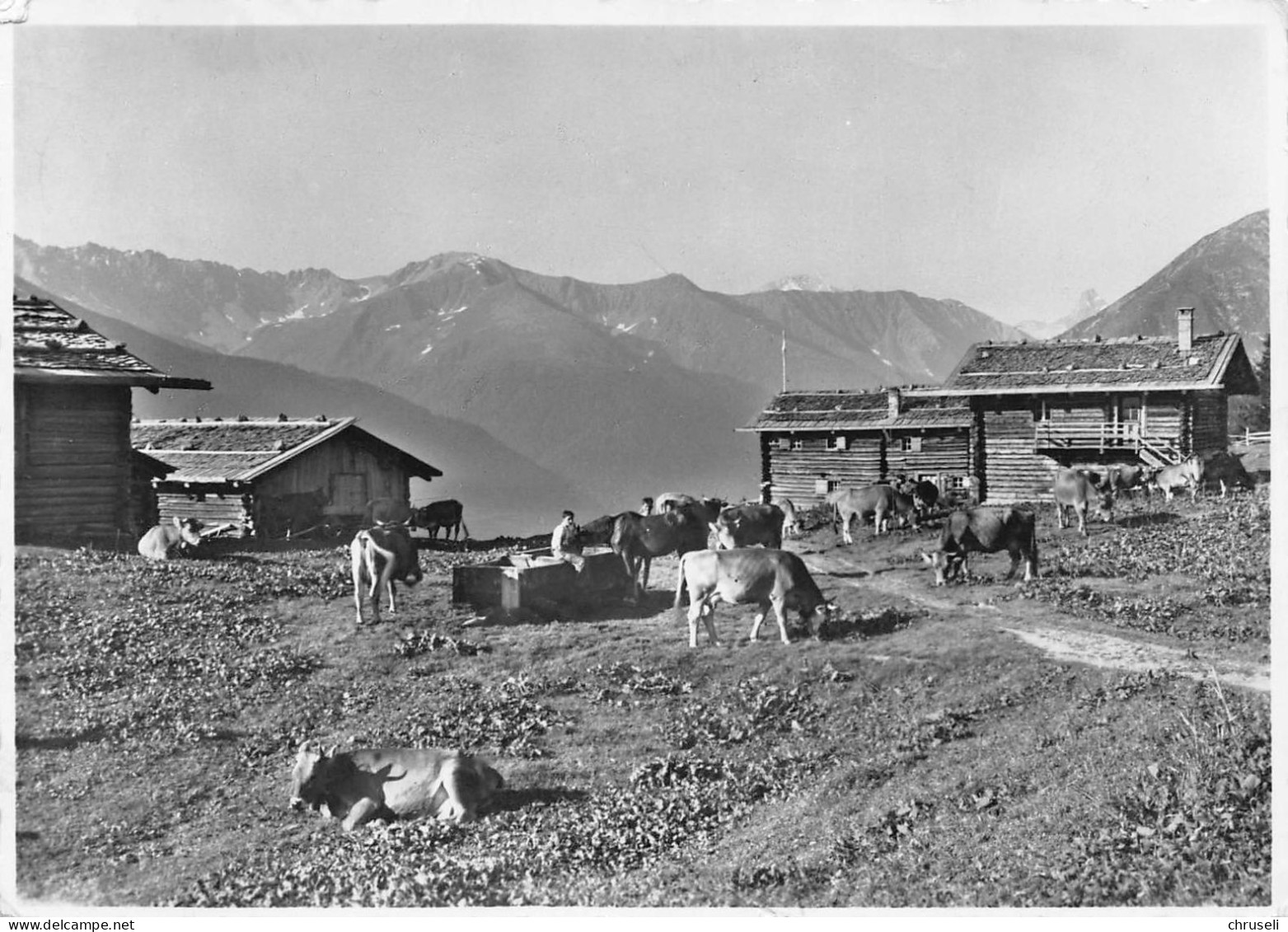 Davos  Berghaus Stafelalp - Schiers