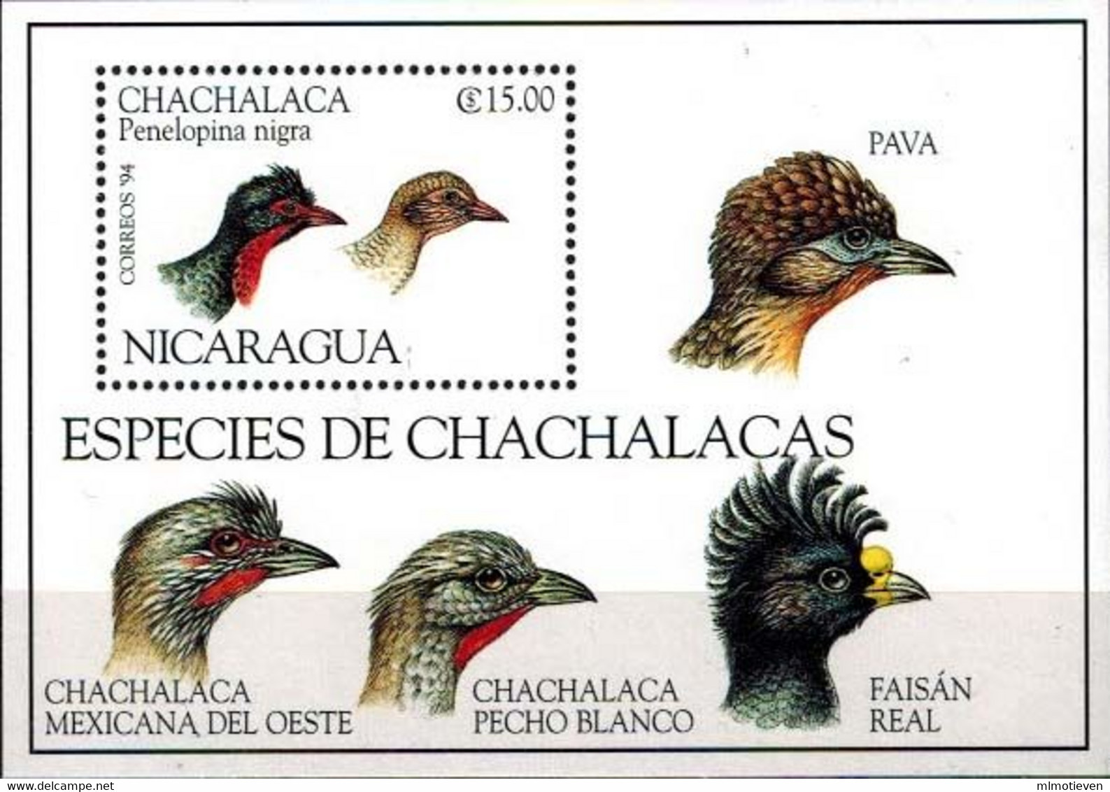 MDB-BK26-442 MINT ¤ NICARAGUA 1994 BLOCK ¤ BIRDS OF THE WORLD - OISEAUX - BIRDS - VOGELS - VÖGEL - AVES - PAJAROS - Galline & Gallinaceo