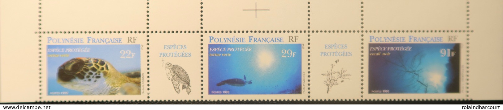 LP3969/490 - POLYNESIE FRANÇAISE - 1995 - Faune Marine - BANDE COMPLETE - N°485 à 487 NEUFS** - Cote (2024) : 5,00 € - Ongebruikt