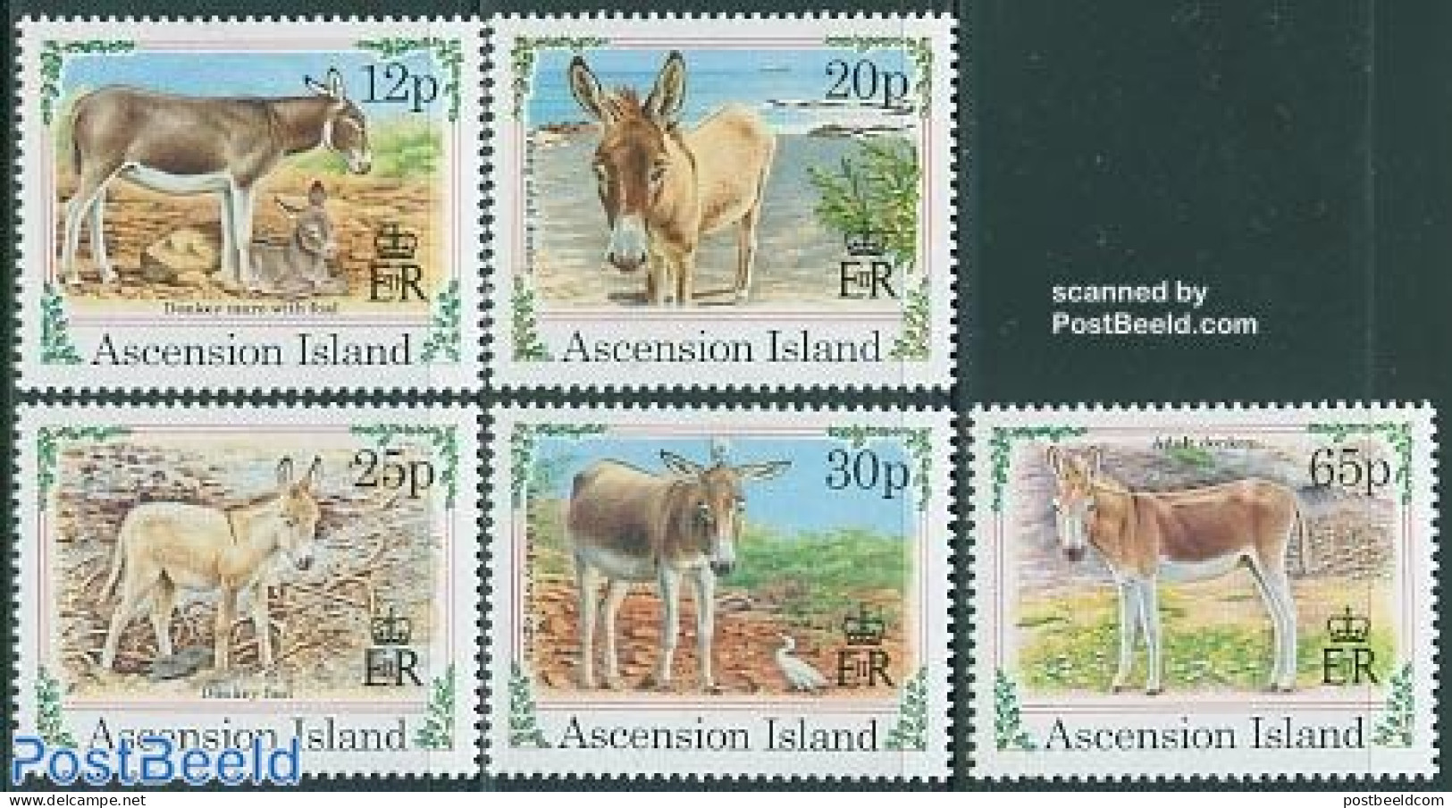 Ascension 1994 Christmas, Donkeys 5v, Mint NH, Nature - Religion - Animals (others & Mixed) - Christmas - Noël