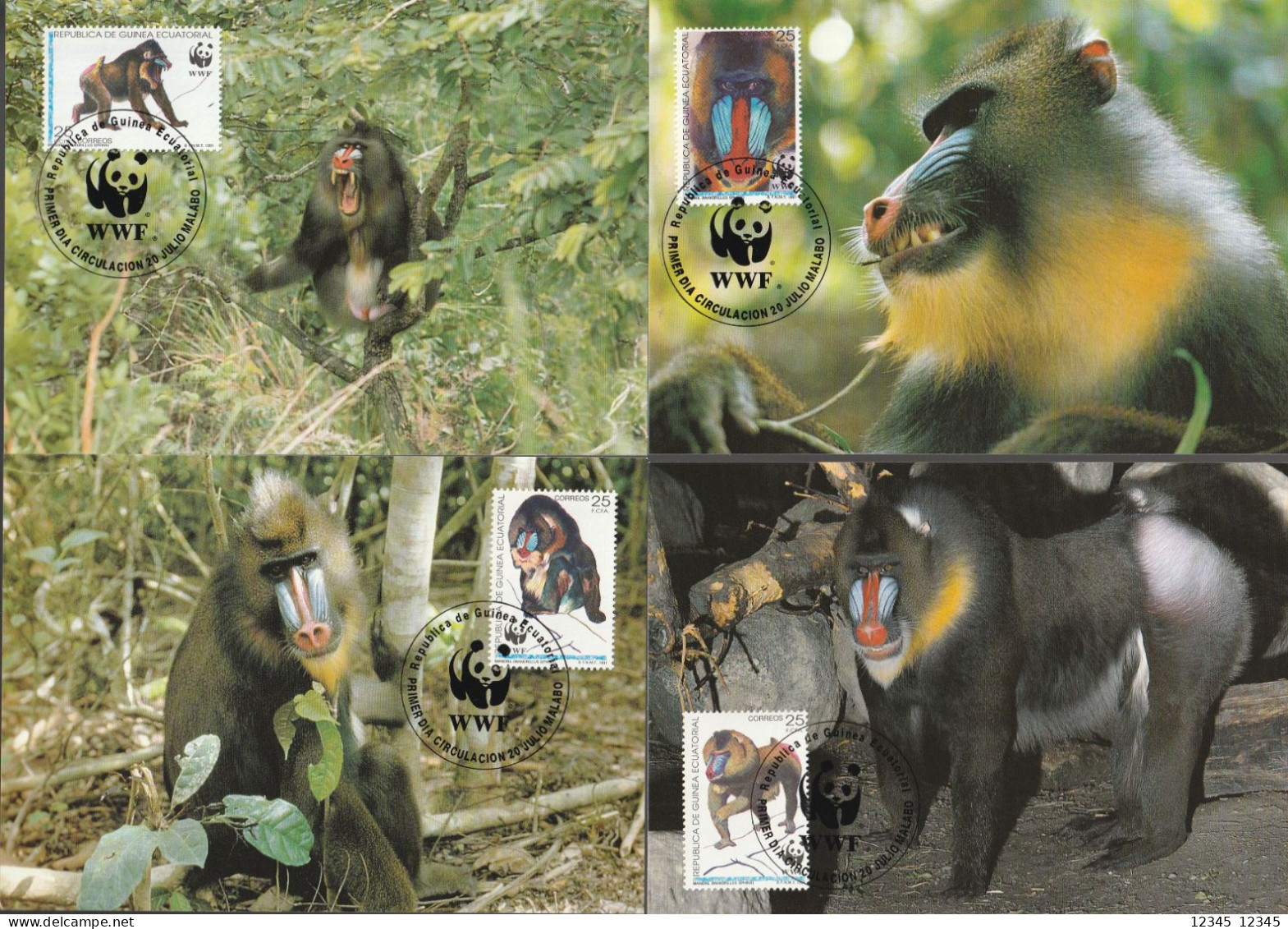 Equatoriaal Guinea 1991, Maximum Cards Unused, WWF, Mandrill - Equatorial Guinea