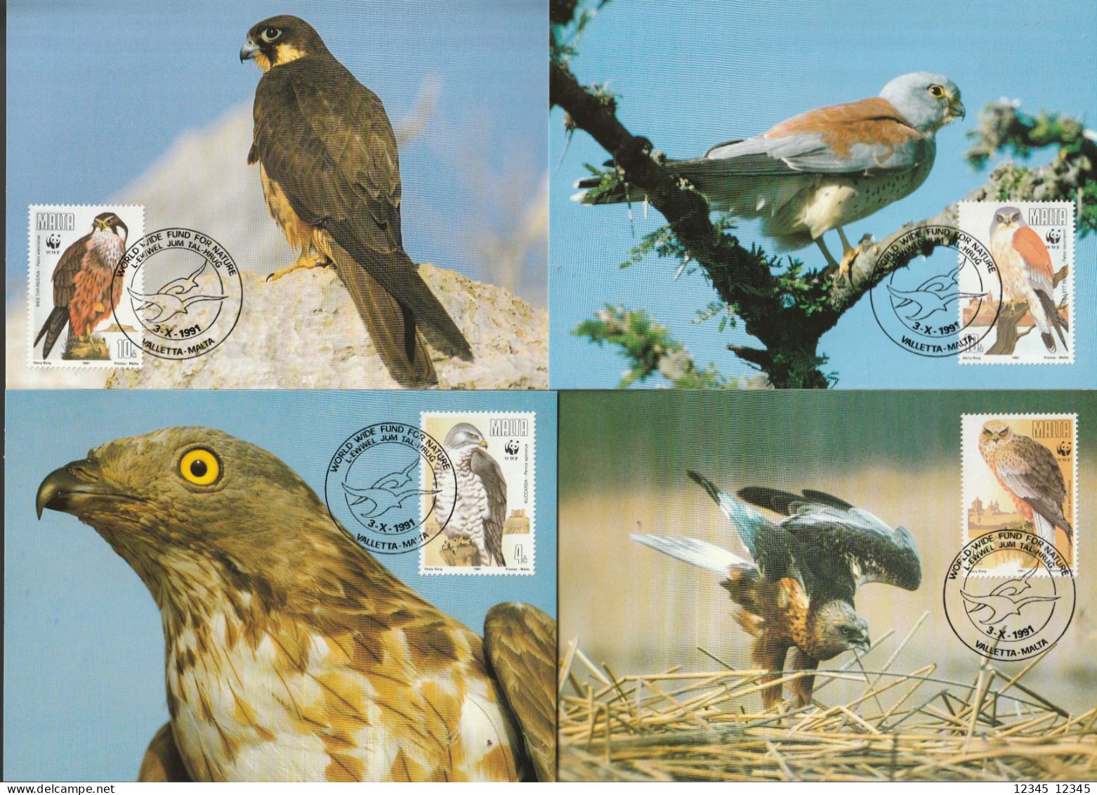 Malta 1991, Maximum Cards Unused, WWF, Birds Of Prey - Malta