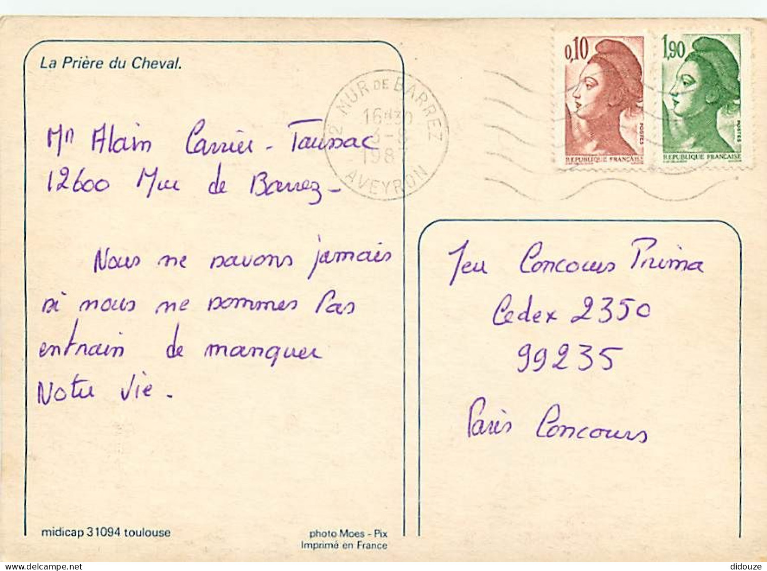 Animaux - Chevaux - CPM - Voir Scans Recto-Verso - Pferde