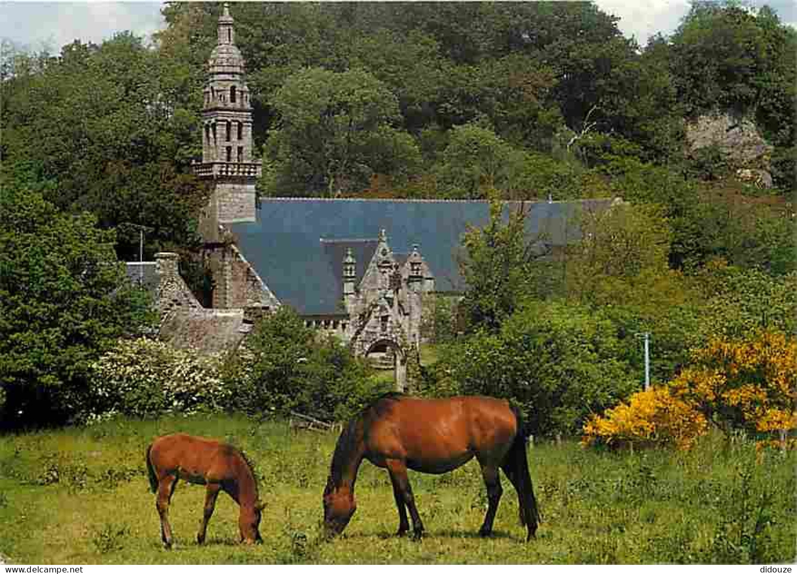 Animaux - Chevaux - Chateaulin - - Pâturage En Argoat - A Pasture In Argoat - Wiese In Argoat - CPM - Voir Scans Recto-V - Pferde