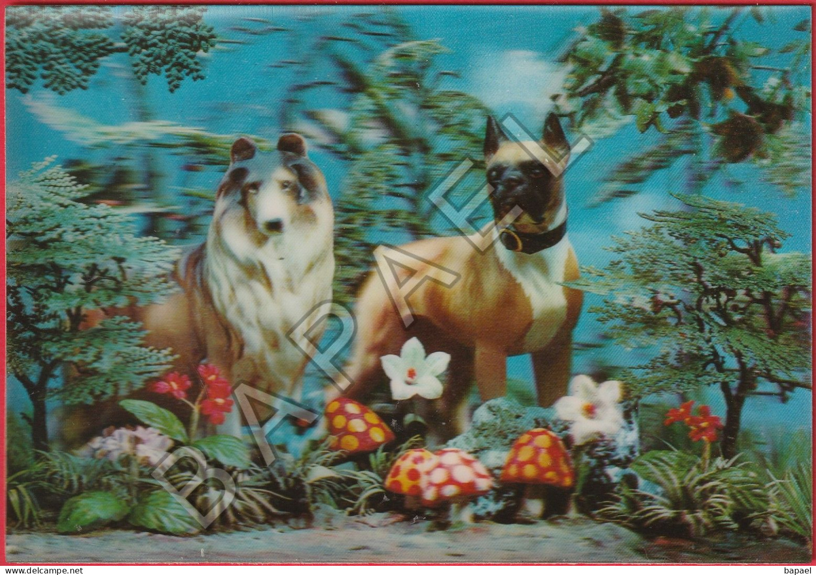 Deux Chiens Races Collet Et Boxer - Procédé En ''Visiorelief'' Présenté Par Le ''Cep Vermeil'' (Recto-Verso) - Stereoscope Cards