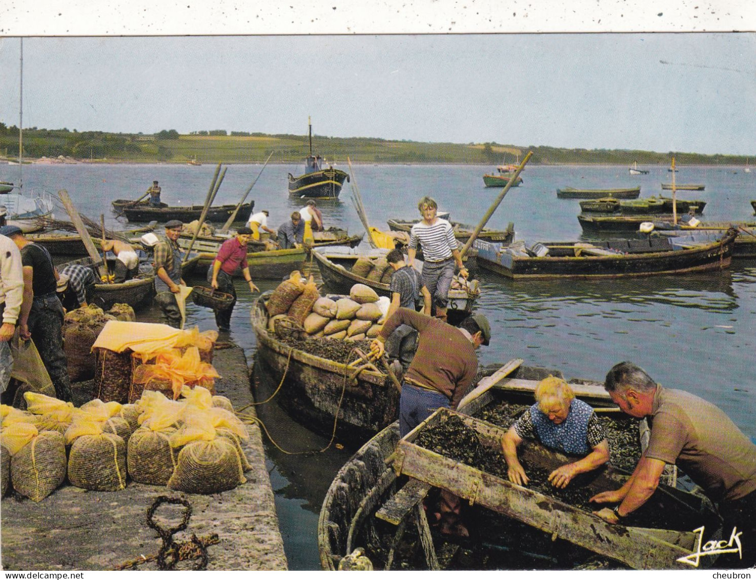 56. PENESTIN. CPSM. ARRIVAGE DES MOULES AU PORT DE TREHIGUIER. ANIMATION - Pénestin