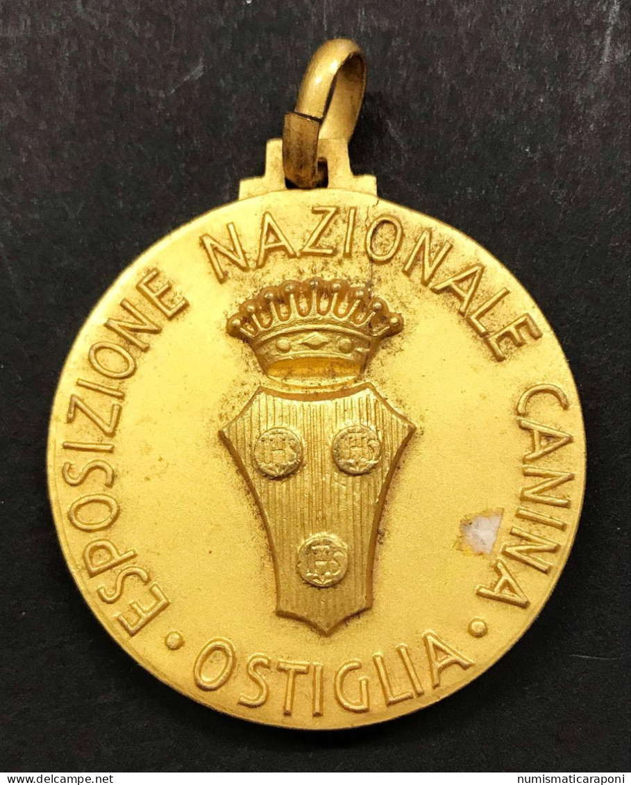 Medaglia Esposizione Nazionale Canina Ostiglia Mantova 38 Mm - Adel