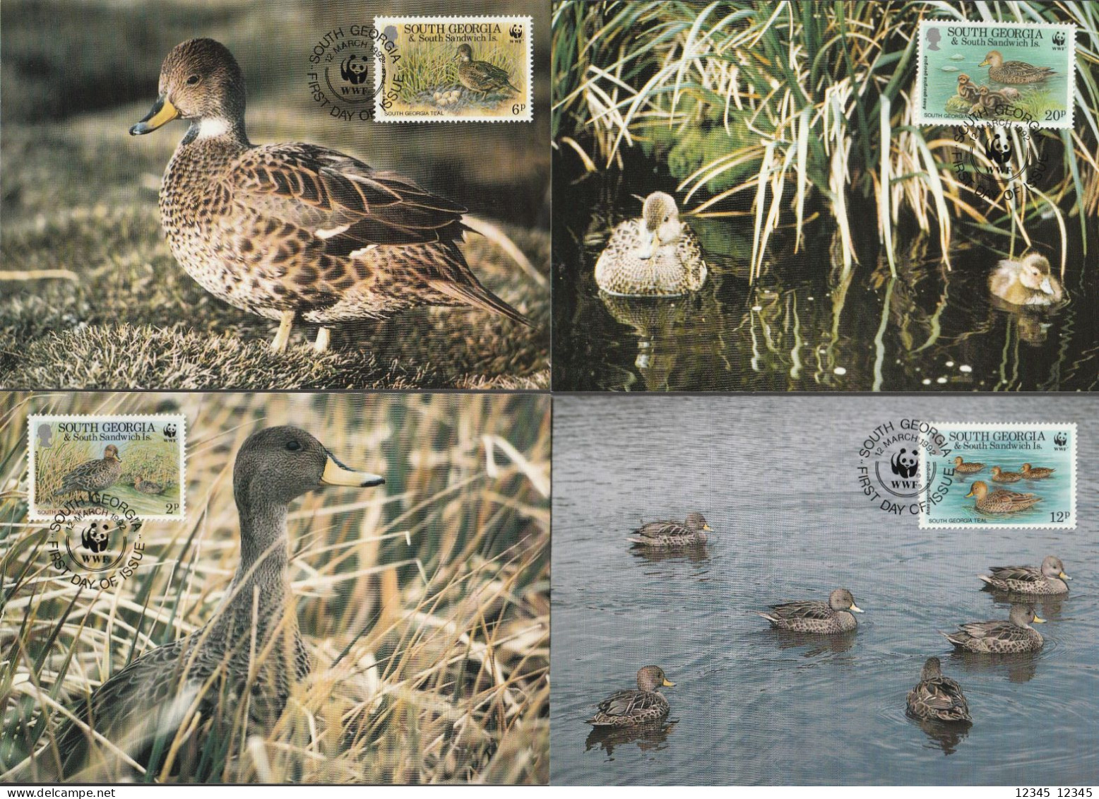 Zuid Georgië 1992, Maximum Cards Unused, WWF, Ducks, Birds - Zuid-Georgia